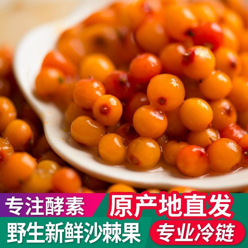 沙棘果干粒大果干新疆沙棘茶泡水沙棘粉鲜果汁原浆油野生正品药材