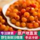 沙棘果干粒大果干新疆沙棘茶泡水沙棘粉鲜果汁原浆油野生正品 药材