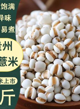 正品贵州纯天然大薏仁米新货级正宗薏米煮粥茶泡水可搭配赤豆红豆