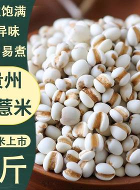 贵州纯天然大薏仁米新薏米仁
