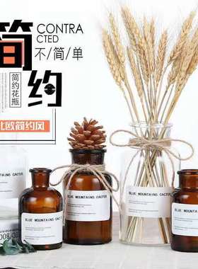 ins透明花瓶玻璃北欧风