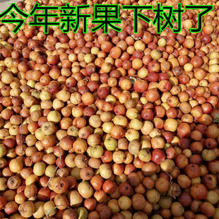 青皮凤眼菩提子带皮龙眼赌龙眼麒麟眼恶魔天使五角星原籽散籽