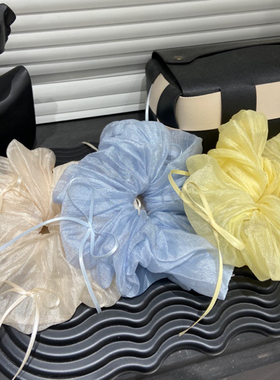 E4289 芭蕾风丝带蝴蝶结大肠发圈丸子头马尾发绳扎头发2025头绳女