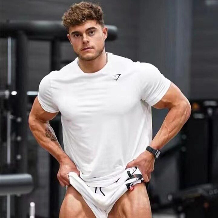 加减法劲夫同款GYMSHARK短袖运动男健身夏网眼上衣速干圆领T恤