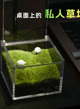 茶台茶桌书桌苔藓微景观