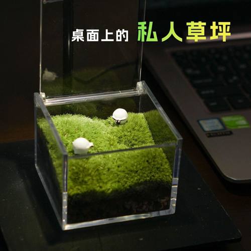 茶台茶桌书桌苔藓微景观