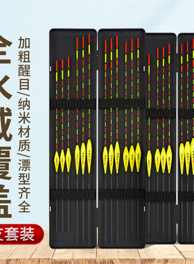 鱼漂套装高灵敏加粗醒目