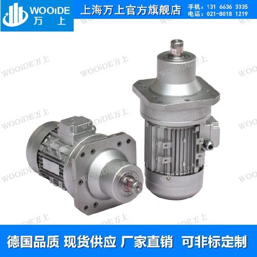 WB85-L1D-43-0.37KW小型微型摆线针轮减速机WB100-L1-59-0.75KW