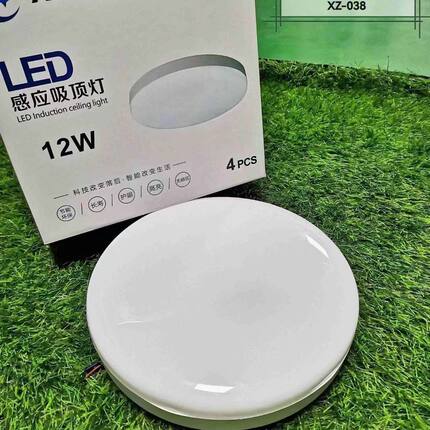 星致人体感应吸顶灯声控超薄现代简约卧室圆形三防led吸顶灯过道