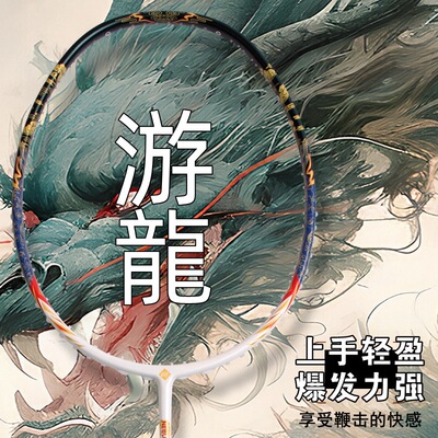 羽毛球拍游龙专业进攻型成人比赛级羽毛球拍家用全碳素羽球拍批发