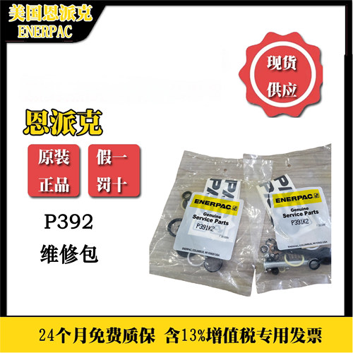 恩派克P392维修包原装正品