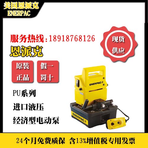 恩派克电动泵PUJ1200E