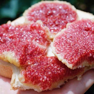 萨力娅 云南元谋无花果新鲜空运当季现摘现发无花果波姬红糖包2斤