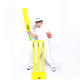 CricketStumps板球三柱门塑料桩门标准训练比赛球门带小木条两个
