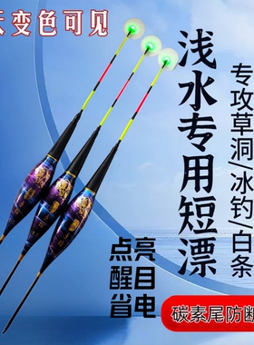 单点亮咬钩变色鱼漂一点亮电子漂led尾硬尾日夜两用超短夜光漂