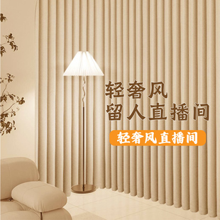 直播间背景专用窗帘布遮光布挂墙窗帘幕布网红舞蹈布女主播白纱帘