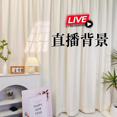直播用背景帘免打孔直播间魔术贴背景布网红风主播高级感装背景贴