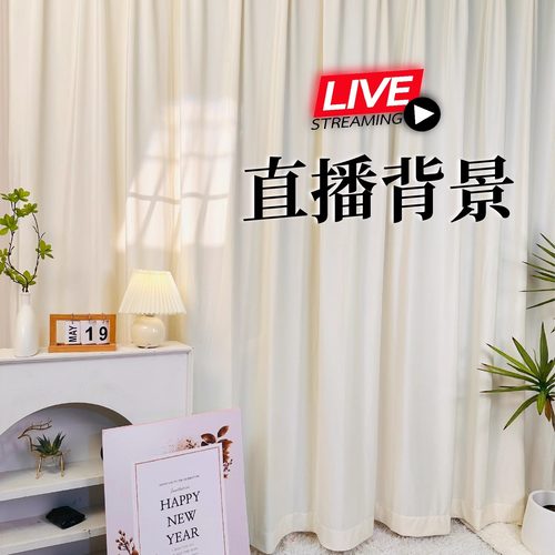 直播用背景帘免打孔直播间魔术贴背景布网红风主播高级感装背景贴