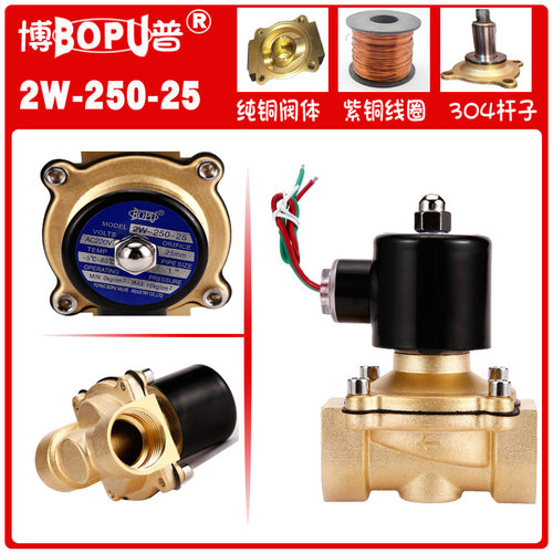 博普1寸 全铜电磁阀 2W-250-25 全铜线圈 水阀 排气阀 AC220V阀