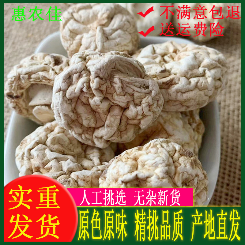 精品口蘑菇精品口蘑菇河北张家口