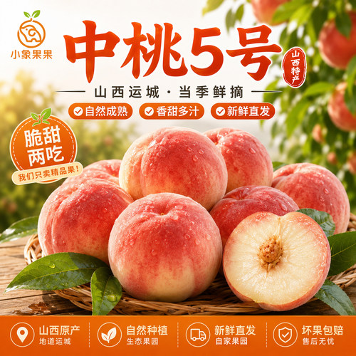 正宗中桃5号山西原产新鲜桃子