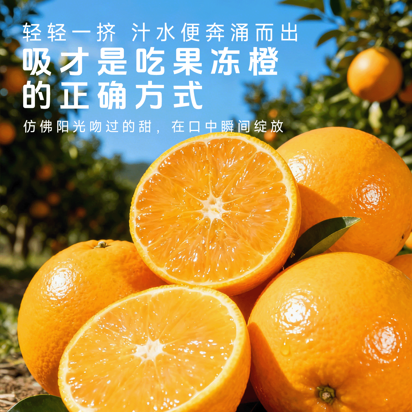 红美人柑橘当季水果西新鲜水果柑橘精选水果当季精品包邮现摘柑橘,水产肉类/新鲜蔬果/熟食,桔子,淘宝优惠券,粉丝福利购,淘宝优惠卷