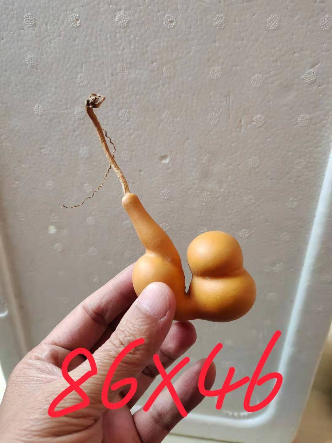 天然手把文玩勒扎烟斗烟袋锅葫芦工艺品一物一图皮质老成瓷实响籽