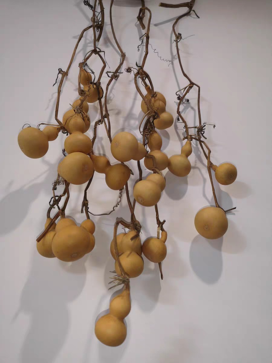 天然手把文玩连枝连藤手捻小葫芦