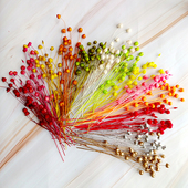 diy干花富贵豆永生花相思豆手工材料胡麻豆浮游瓶小星豆短枝配花