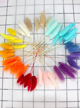 永生花染色狗尾巴草干花手工材料