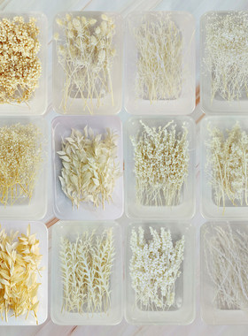 diy干花白色系手工材料ins盒装花