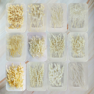 diy干花白色系永生花盒装小清新手工材料ins装饰真树叶片贴画相框