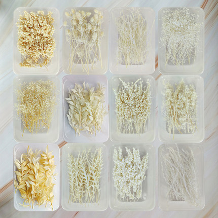 diy干花白色系永生花盒装小清新手工材料ins装饰真树叶片贴画相框