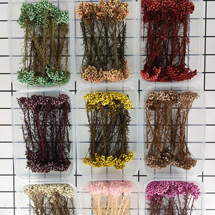 短枝干花小米花diy手工材料包装礼盒贺卡装饰花材网红永生花植物