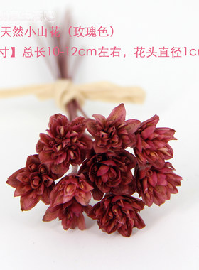 巴西进口小山花永生花diy材料