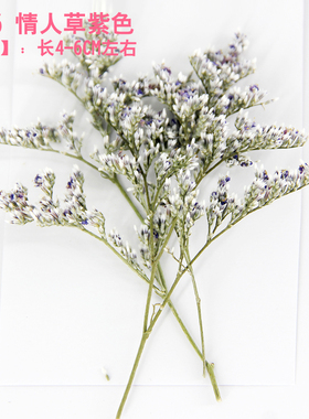 新品天然干花压花押花包紫色情人草香薰蜡片花材AB滴胶手机壳书签