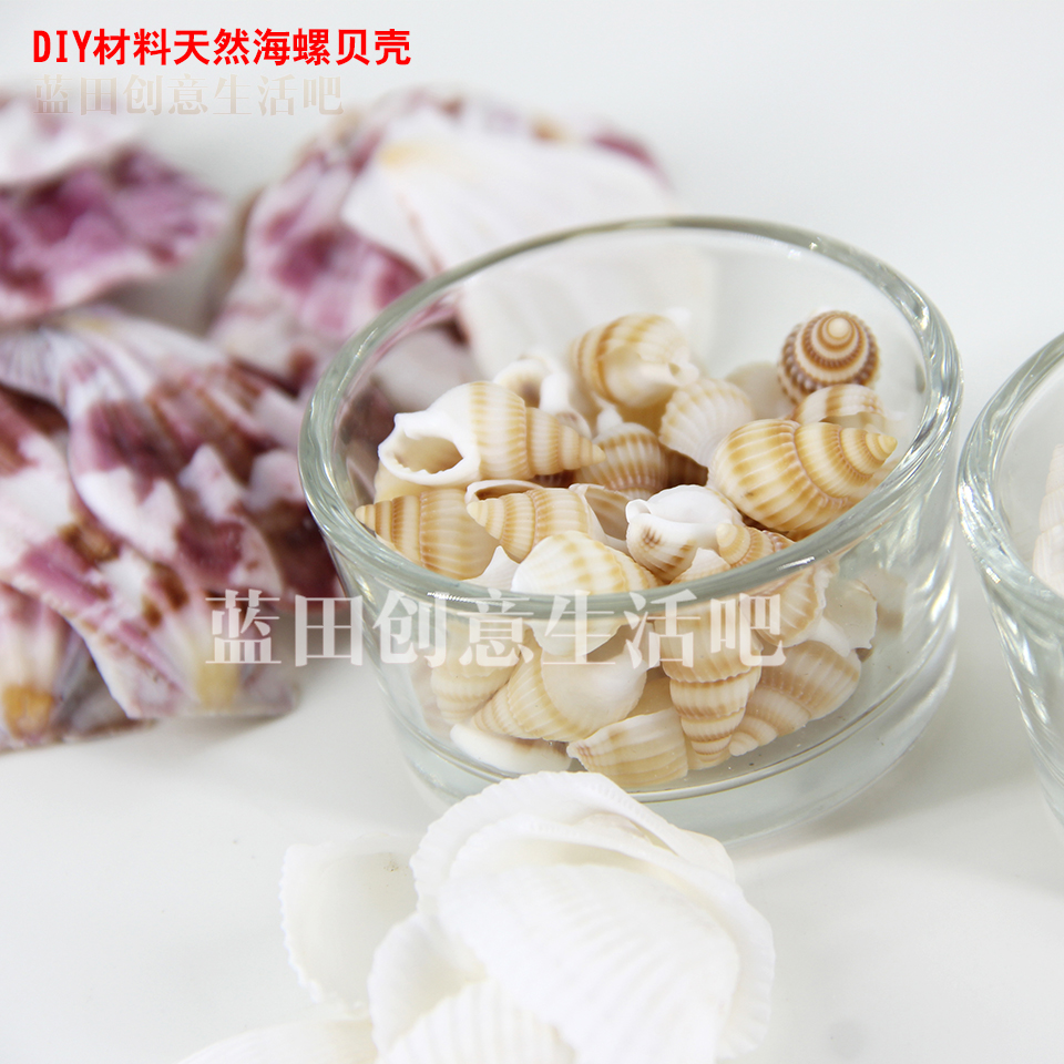 热销天然海螺贝壳DIY漂流瓶许愿瓶微景材料迷你手工蜡烛蜡片素材