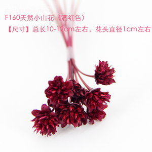 原装巴西进口天然小山花干花染色永生花装饰DIY蜡片花材料酒红色