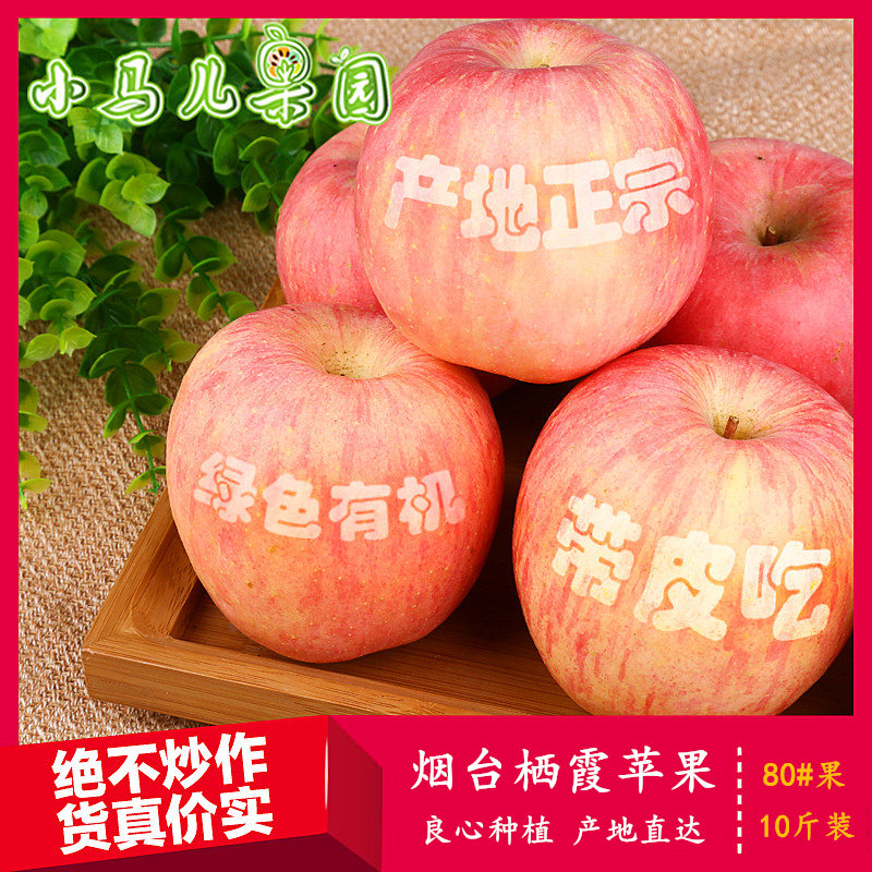 【小马儿果园】山东烟台苹果特产栖霞苹果红富士新鲜水果10斤包邮