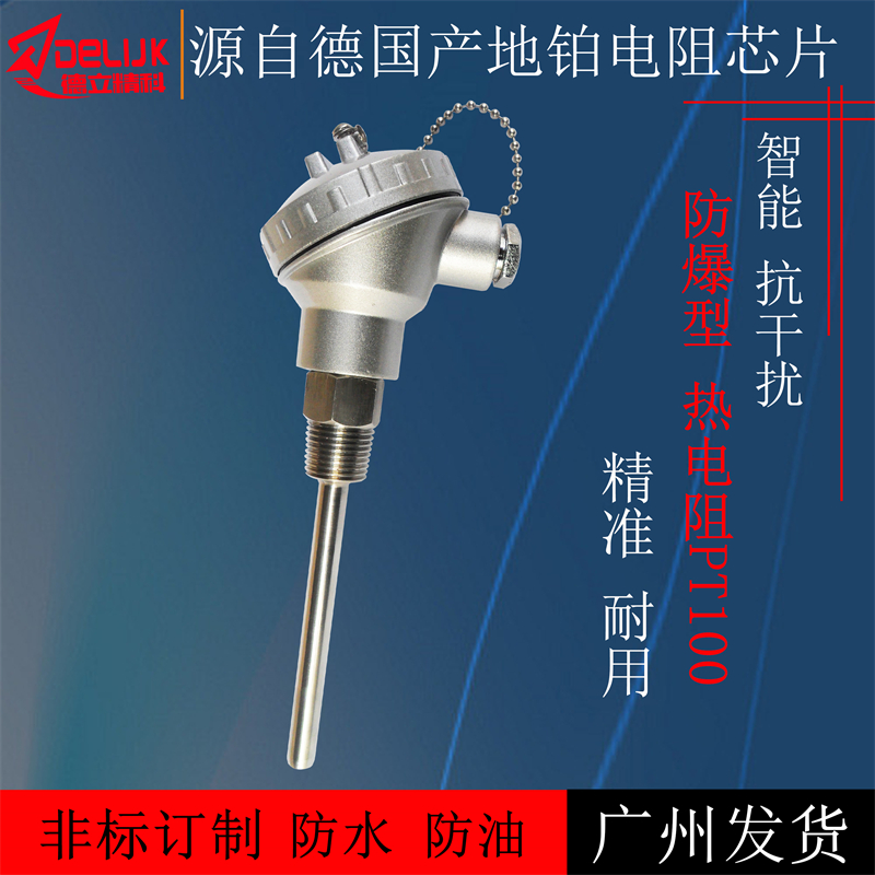 热电阻pt100进口防爆温度传感器