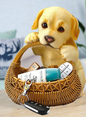 狗狗客厅玄关鞋柜简约风放钥匙