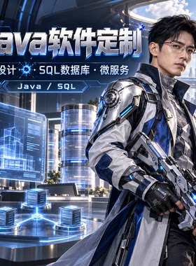 Java网页数据库微服务定制
