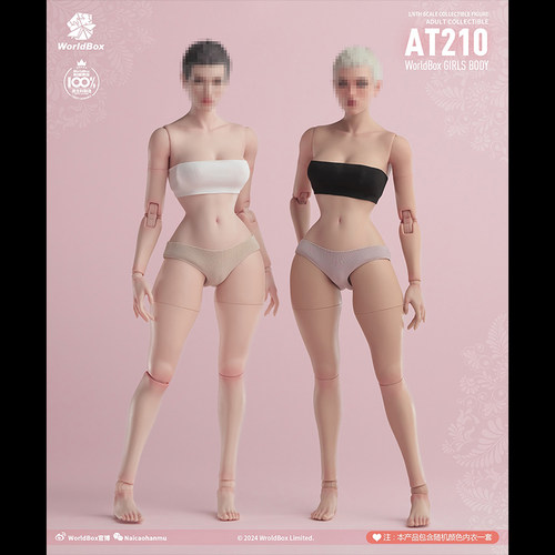 Worldbox 1/6 女兵人 女素体 蜂腰版 AT210 白肤色浅麦色人偶现货