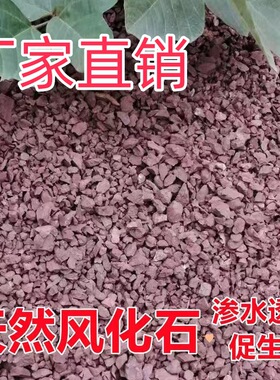 南郭良品39毫米风化石颗粒风化土金弹子土扦插生根土酸性土绿植