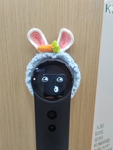 智能锁装饰品帽子德施曼R9智能门锁装扮指纹锁创意个性向日葵帽子