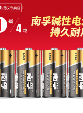 南孚LR20大号碱性电池1号4节D型一号燃气煤气灶热水器电池1.5V