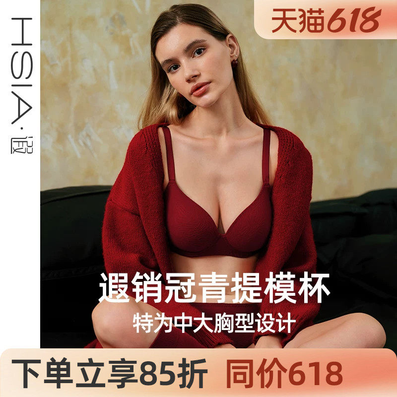 【小青提-斑纹蕾丝】遐无痕内衣女薄款微聚拢防下垂大胸显小文胸