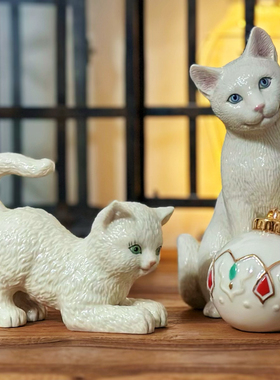 猫咪彩球猫宝宝玩耍创意场景