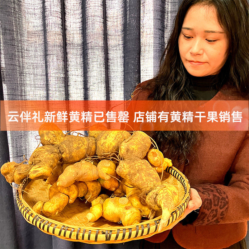 云南新鲜野生老黄精深山现挖现发
