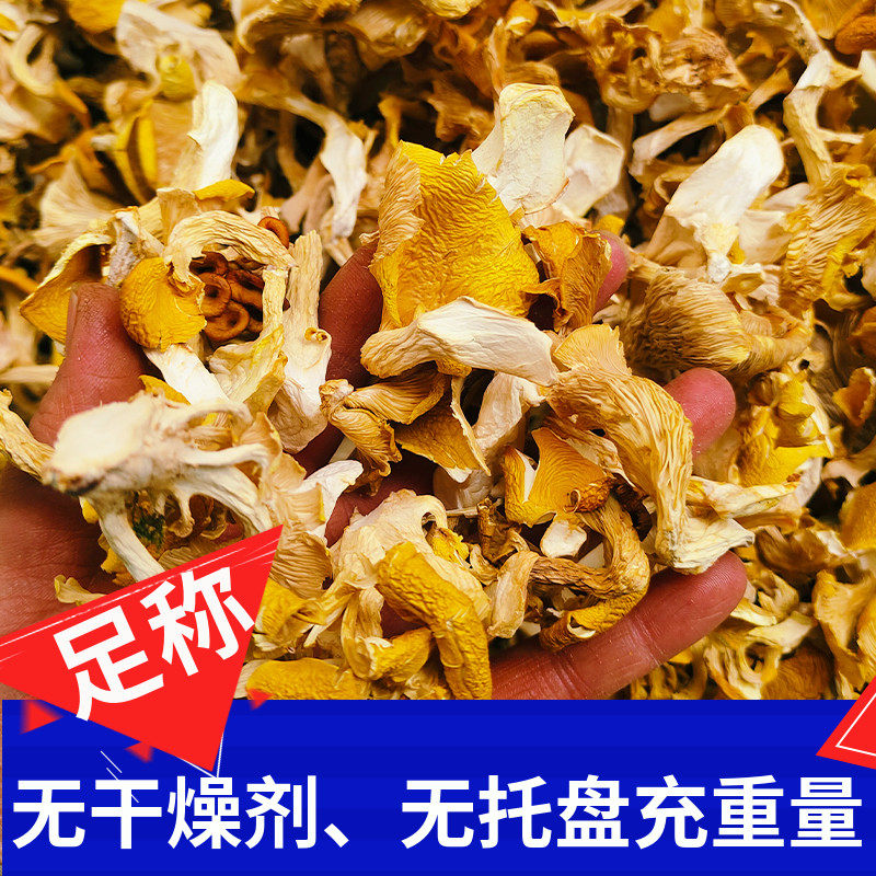 特级鸡油菌干货500g榆黄蘑黄丝菌云南黄金菇非香菇野生食用菌包邮